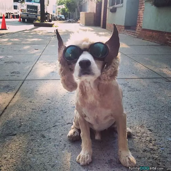 Nice Glasses Dude