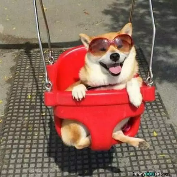 Swinggy Swing