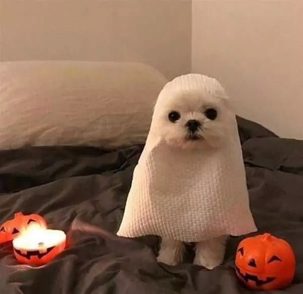 I Am A Ghost