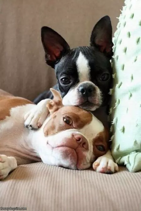 Just Hanging Out