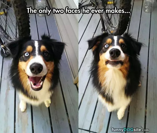 These Faces