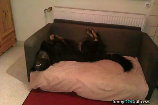 Sleeping And Smiling