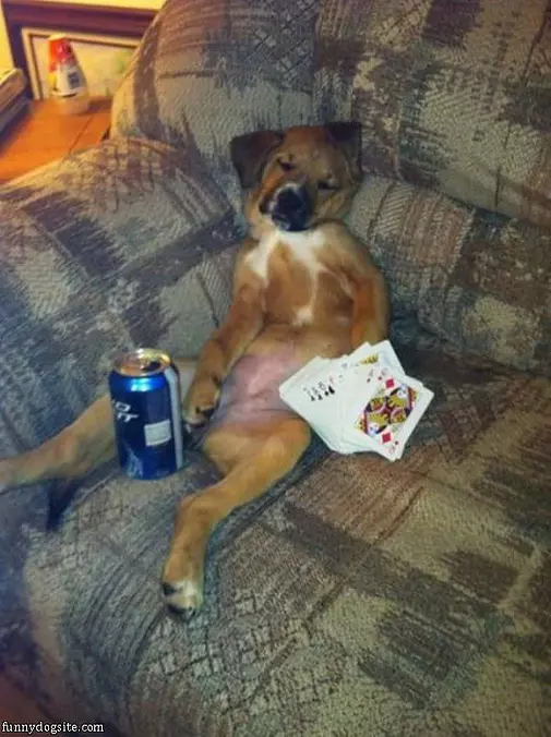 I Had A Long Day
