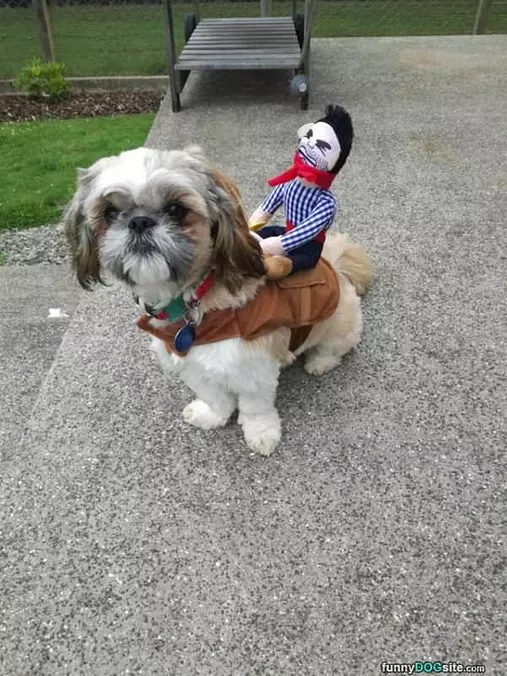 Ride Ride Ride