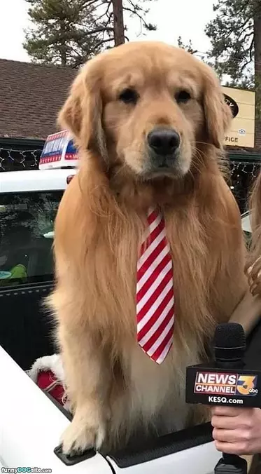 Business Time