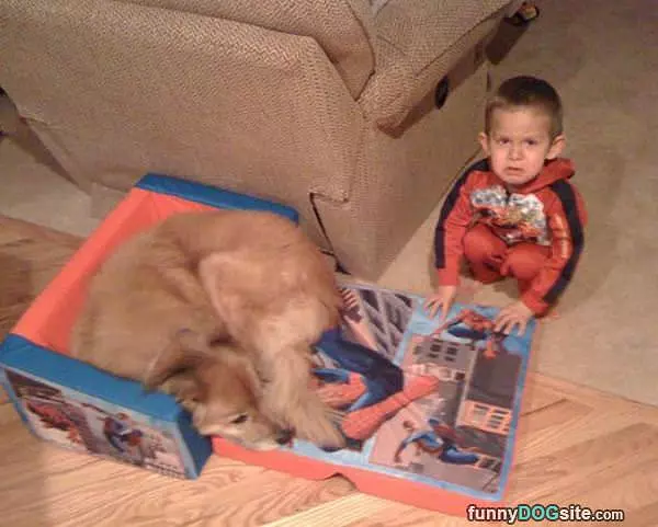 I Fits And I Sits
