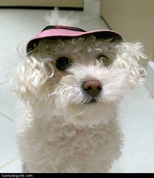 Cool Hat