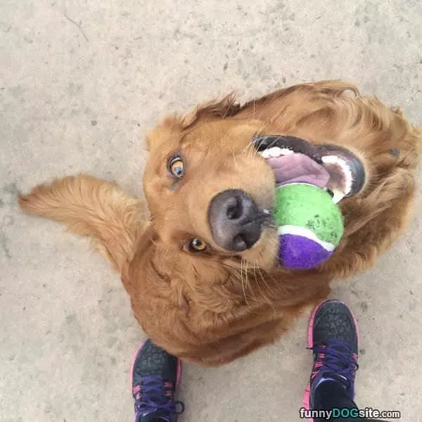 Cmon Just Throw It