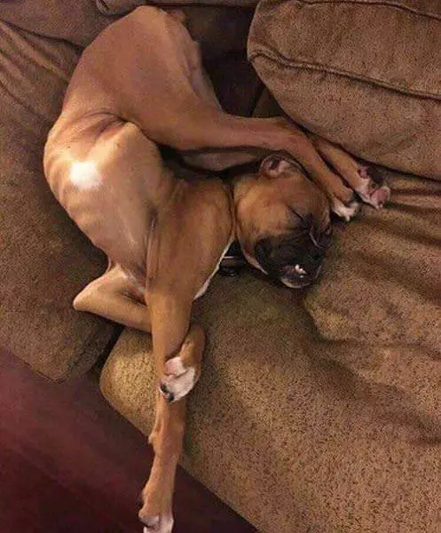 Relaxing Like This