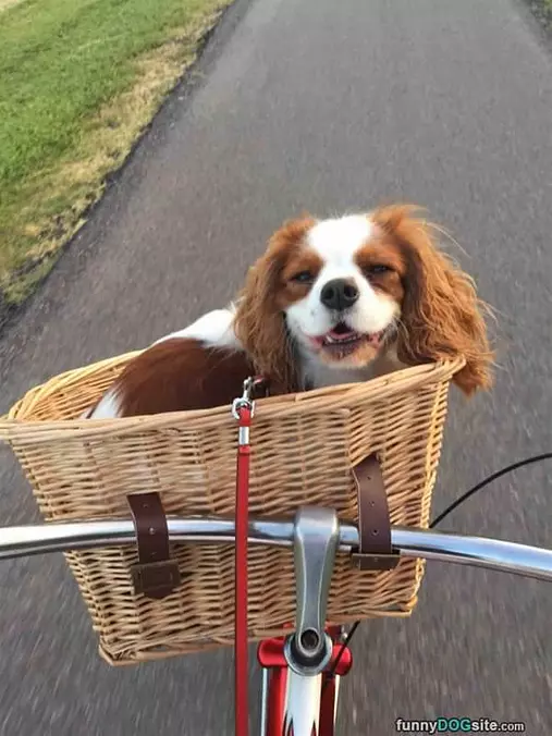 I Love Bike Rides