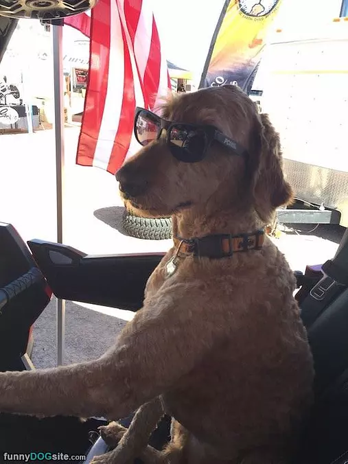 Get In Dude
