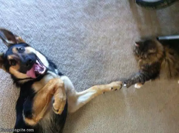 Fist Bump