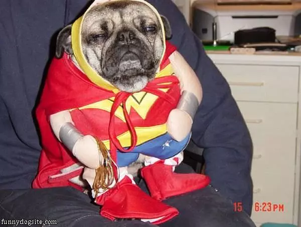 Super Pug