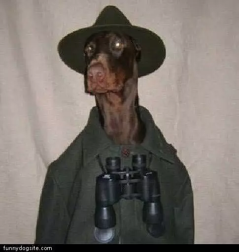 Bird Watch Dog