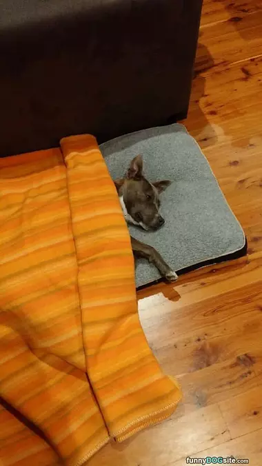 Under The Covers