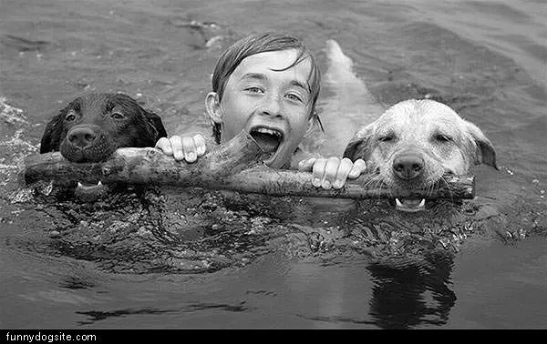 Dog Floats