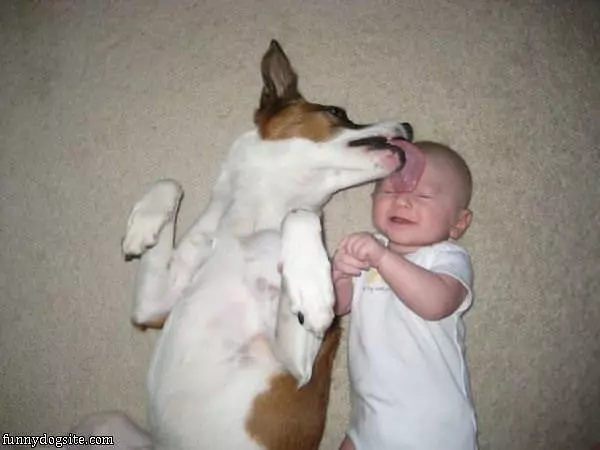 Give Him Kisses