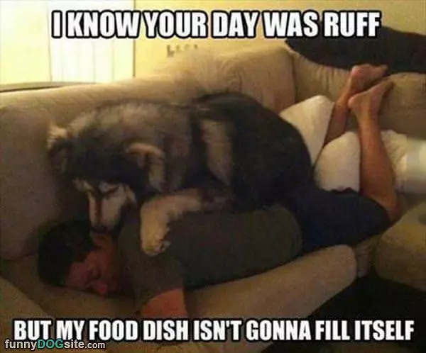 Ruff Day