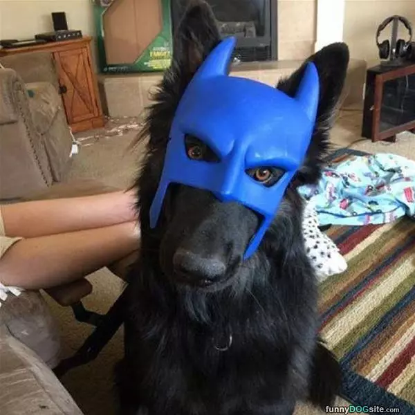 I Am Bat Dog