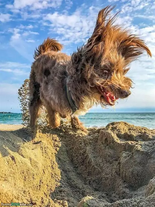 Digging It Deep