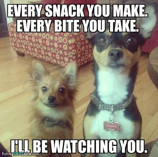 Every Snack You Make
