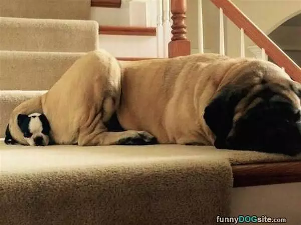 Cuddling To Stay Warm
