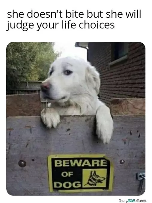 Does Not Bite