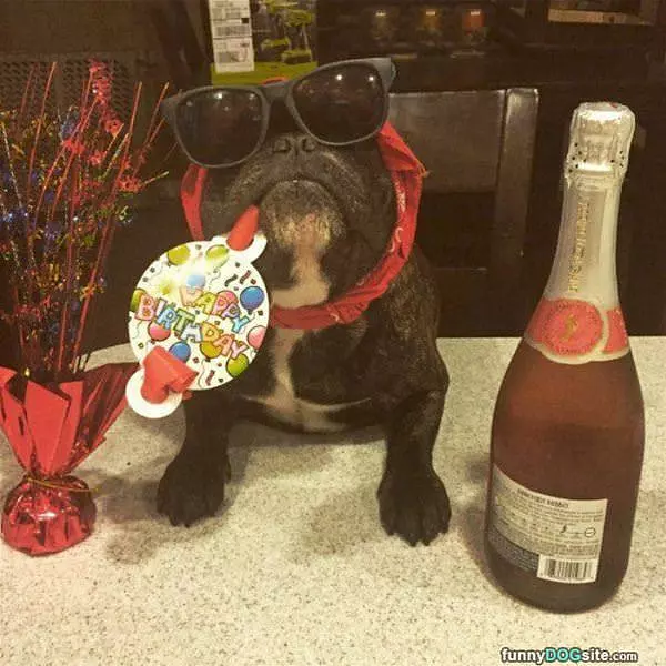 Having A Big Party