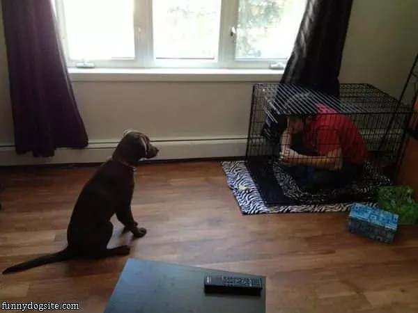 Trading Places