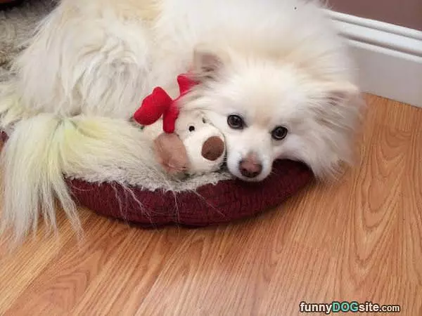 Its Nap Time