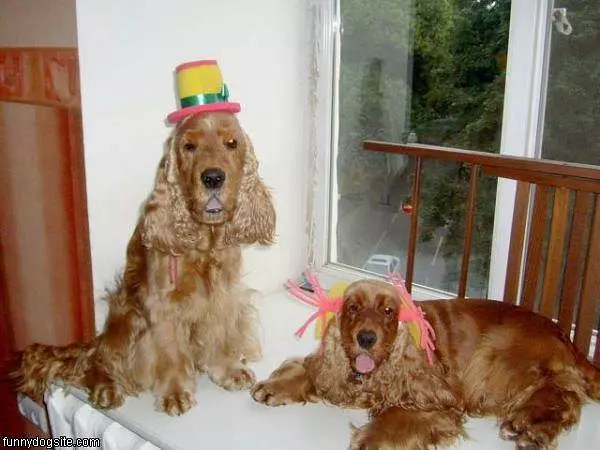 Quite A Party