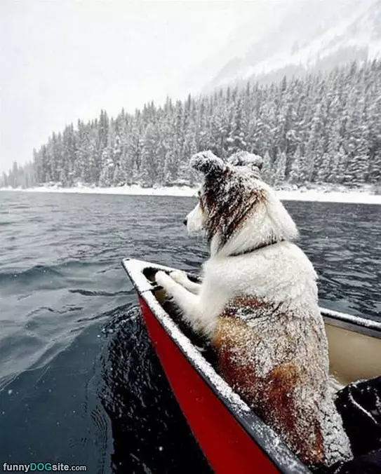 Canoeing Out In The Snow