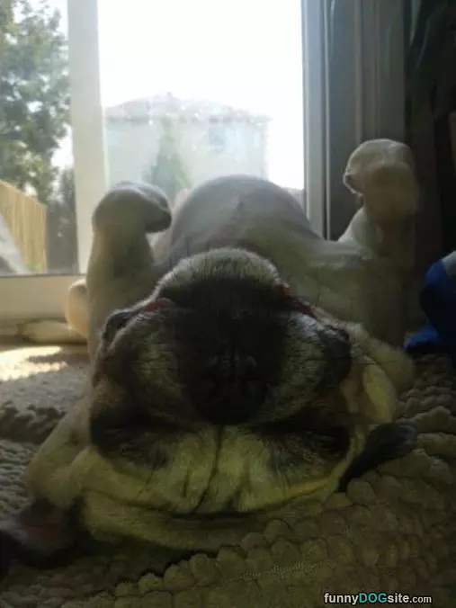 Laying Around
