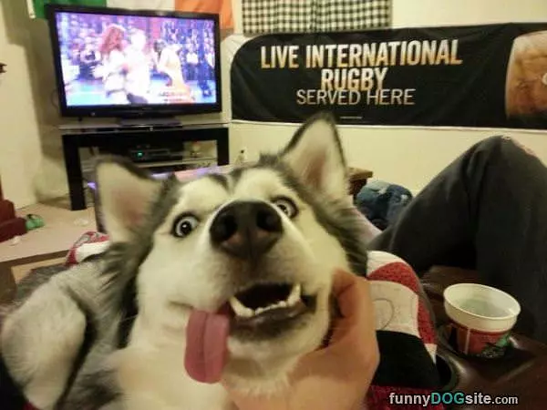 Tongue Out
