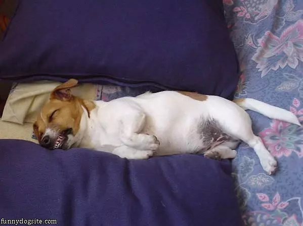 Abigail Sleeping