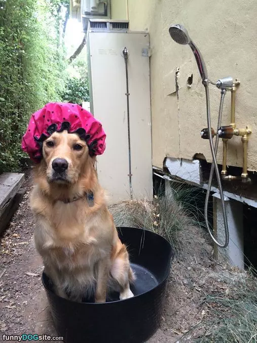 Taking A Cute Bath