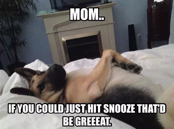 Hit The Snooze