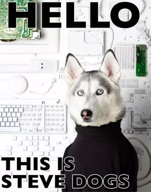 Steve Dogs