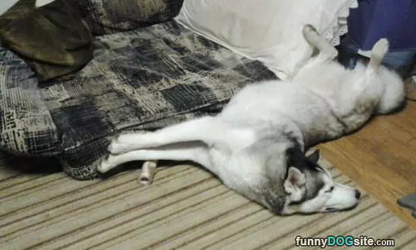 Sleep However I Can