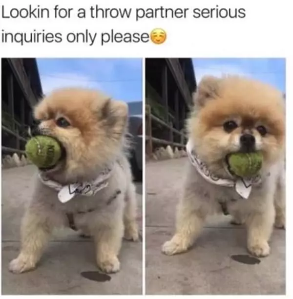 Looking For Throw Partners