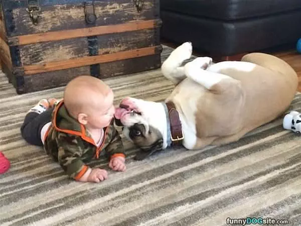 I Like This Baby