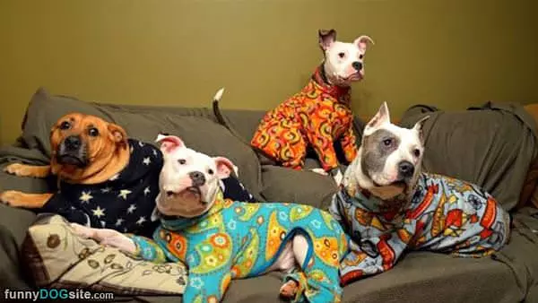 Ready For Our Sleep Over Party