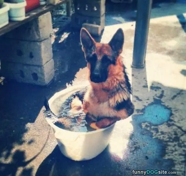 Taking A Qiuck Bath