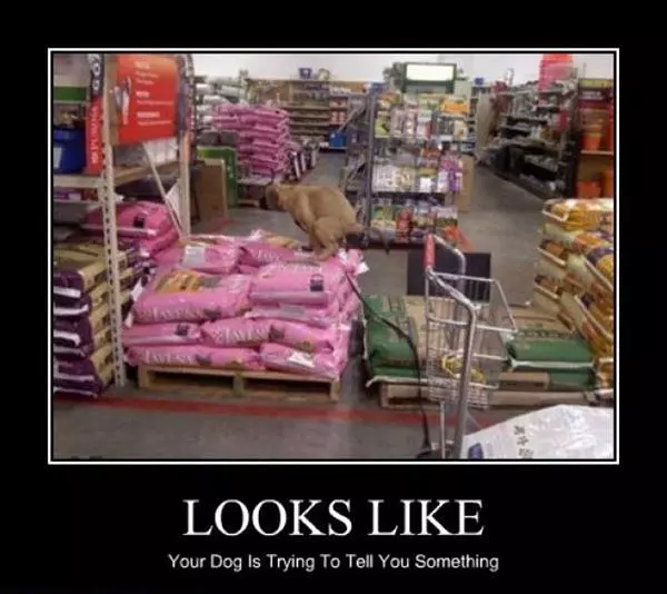 Looks Like It