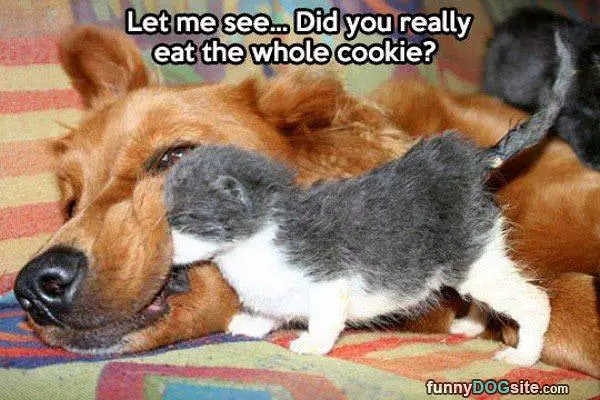 Let Me See