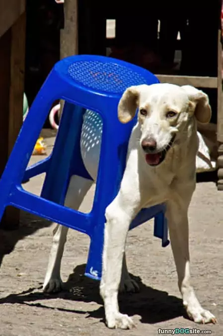 Brought You A Stool