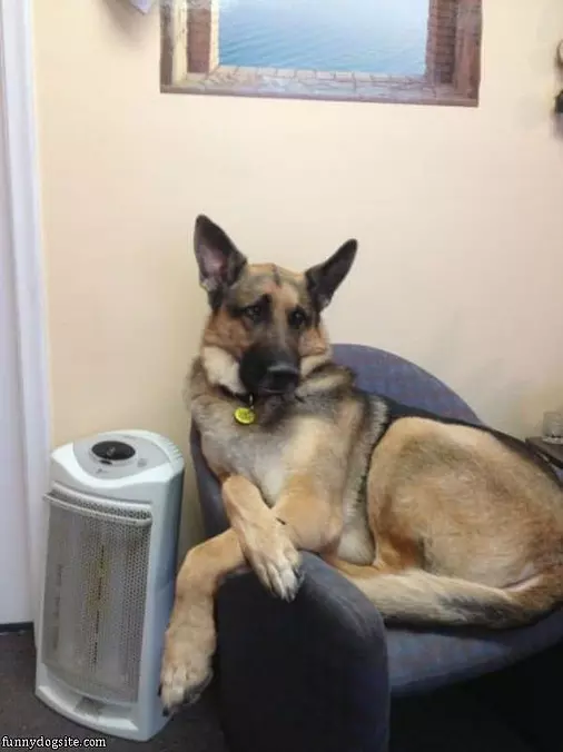 Just Chillaxing