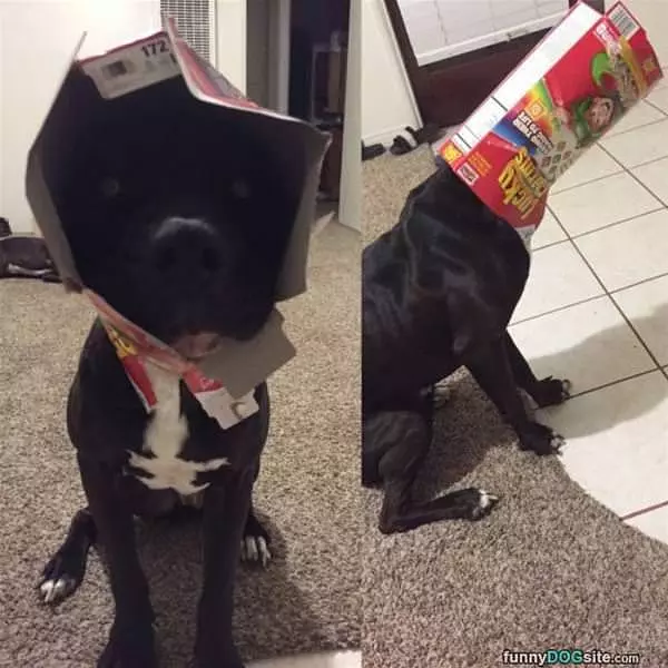 Lucky Charms Are Gone