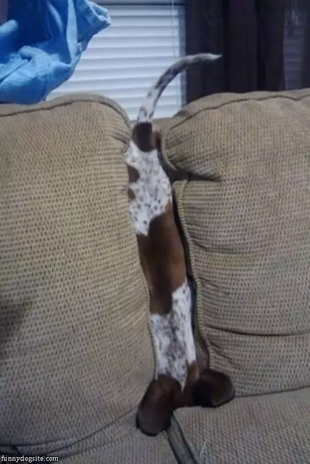 Halp I Am Stuck