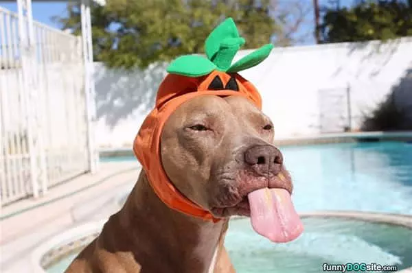 My Tongue Out